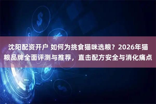 沈阳配资开户 如何为挑食猫咪选粮？2026年猫粮品牌全面评测与推荐，直击配方安全与消化痛点